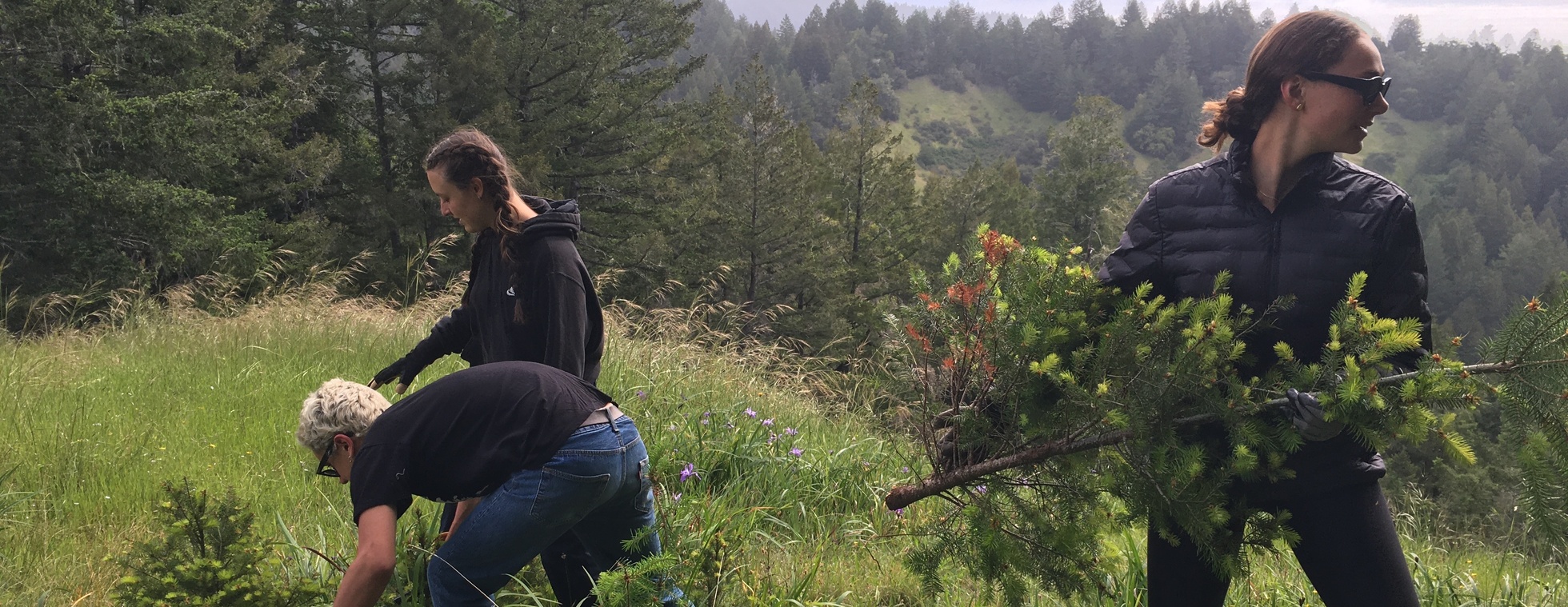 Volunteer Stewardship Day